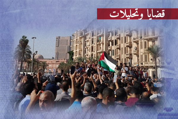 يعمل بوجهين| الإعلام المصري يجيّر 